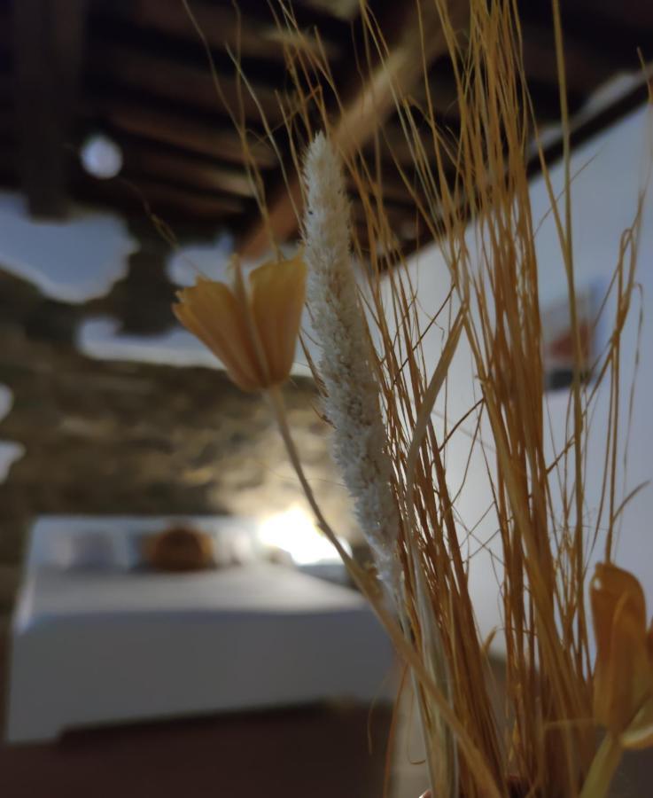 Dante'S Room Dei Cerchi ฟลอเรนซ์ ภายนอก รูปภาพ